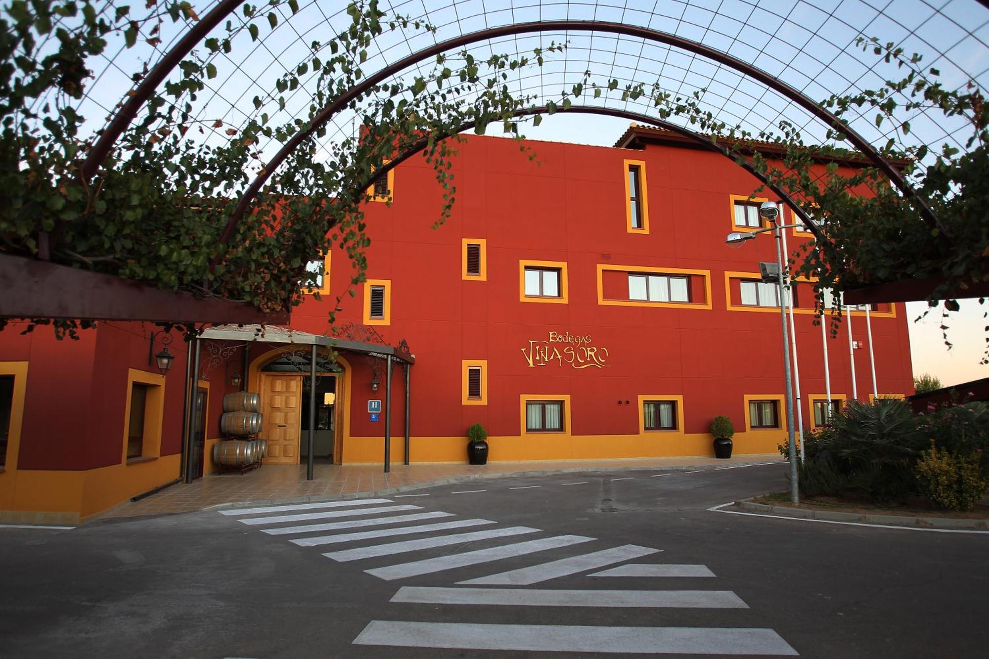 Hotel Chateau Vinasoro Alcazar de San Juan Bagian luar foto